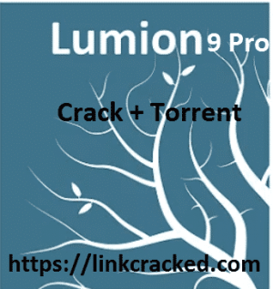 como activar lumion 9 pro crackeado